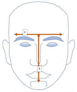 ViriMASK size guide - face 3